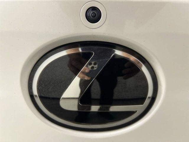 2023 Lexus RZ 450e Luxury
